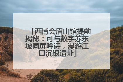 西博会眉山馆提前揭秘：可与数字苏东坡同屏吟诗，漫游江口沉银遗址