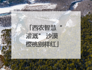 西农智慧“灌溉” 沙漠樱桃别样红