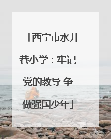 西宁市水井巷小学：牢记党的教导 争做强国少年