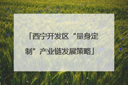 西宁开发区“量身定制”产业链发展策略