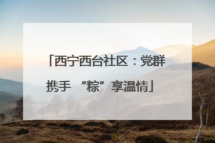 西宁西台社区：党群携手 “粽”享温情