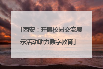 西安：开展校园交流展示活动助力数字教育
