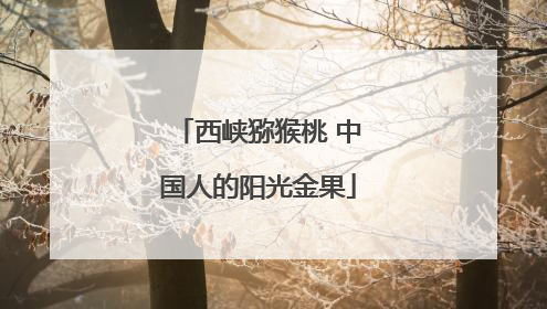 西峡猕猴桃 中国人的阳光金果