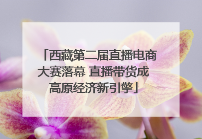 西藏第二届直播电商大赛落幕 直播带货成高原经济新引擎