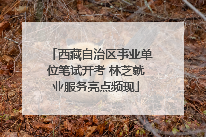 西藏自治区事业单位笔试开考 林芝就业服务亮点频现