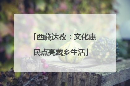 西藏达孜：文化惠民点亮藏乡生活