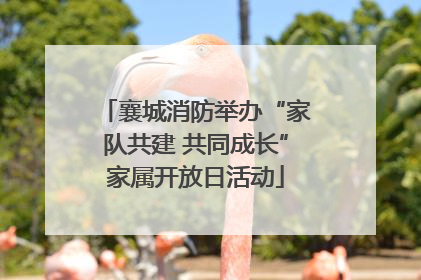 襄城消防举办“家队共建 共同成长”家属开放日活动