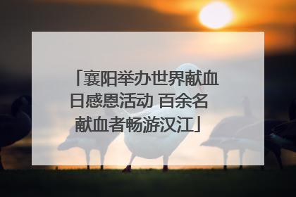 襄阳举办世界献血日感恩活动 百余名献血者畅游汉江