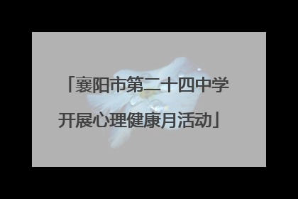 襄阳市第二十四中学开展心理健康月活动