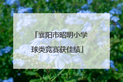 襄阳市昭明小学球类竞赛获佳绩