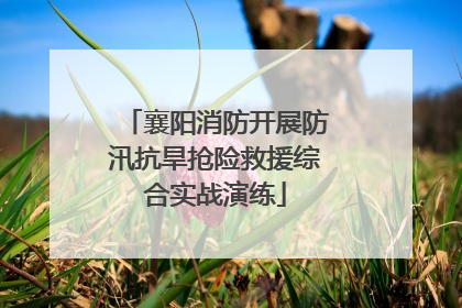 襄阳消防开展防汛抗旱抢险救援综合实战演练