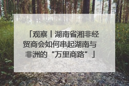 观察丨湖南省湘非经贸商会如何串起湖南与非洲的“万里商路”