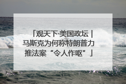 观天下·美国政坛｜马斯克为何称特朗普力推法案“令人作呕”