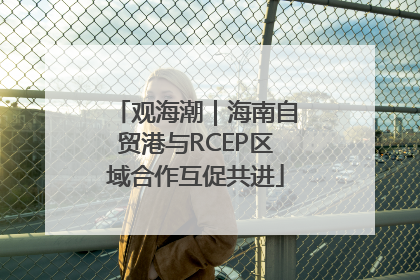 观海潮｜海南自贸港与RCEP区域合作互促共进