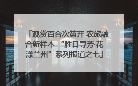 观赏百合次第开 农旅融合新样本 “胜日寻芳·花漾兰州”系列报道之七
