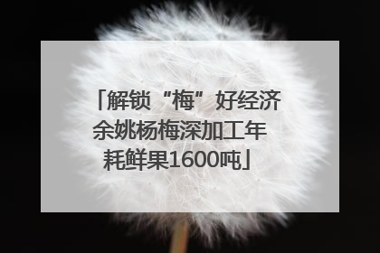 解锁“梅”好经济 余姚杨梅深加工年耗鲜果1600吨