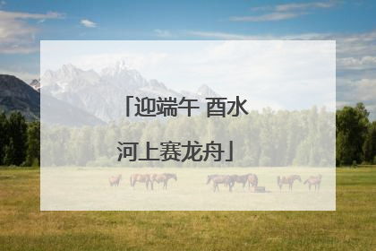 迎端午 酉水河上赛龙舟