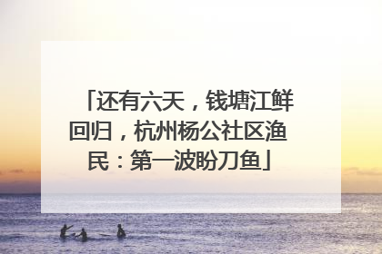 还有六天，钱塘江鲜回归，杭州杨公社区渔民：第一波盼刀鱼