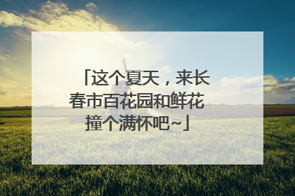 这个夏天，来长春市百花园和鲜花撞个满怀吧~