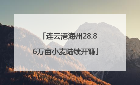 连云港海州28.86万亩小麦陆续开镰
