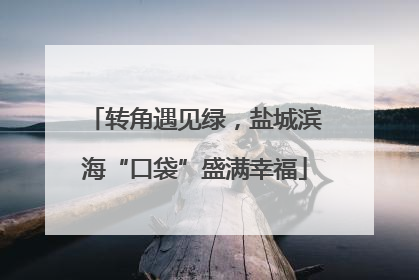 转角遇见绿，盐城滨海“口袋”盛满幸福