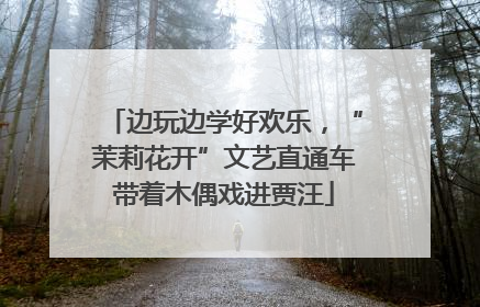 边玩边学好欢乐，“茉莉花开”文艺直通车带着木偶戏进贾汪