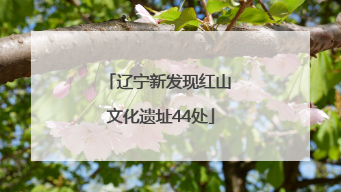 辽宁新发现红山文化遗址44处