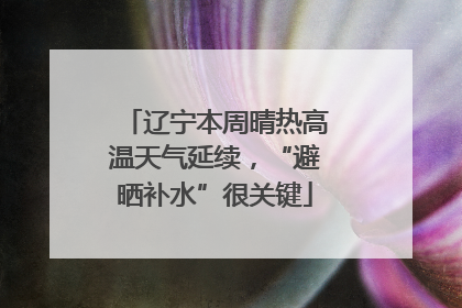 辽宁本周晴热高温天气延续，“避晒补水”很关键
