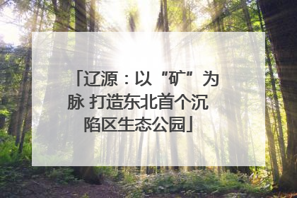辽源：以“矿”为脉 打造东北首个沉陷区生态公园