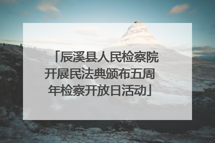 辰溪县人民检察院开展民法典颁布五周年检察开放日活动