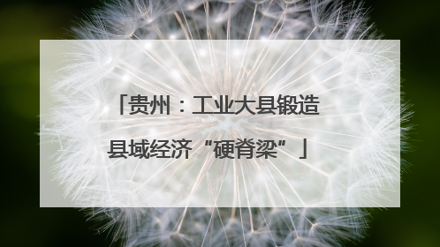 贵州：工业大县锻造县域经济“硬脊梁”