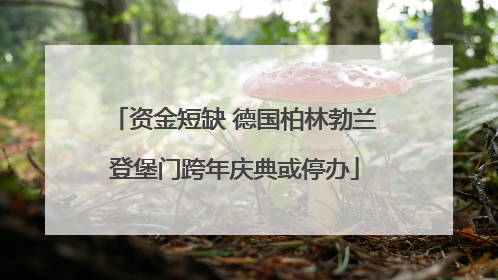 资金短缺 德国柏林勃兰登堡门跨年庆典或停办