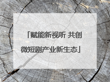 赋能新视听 共创微短剧产业新生态