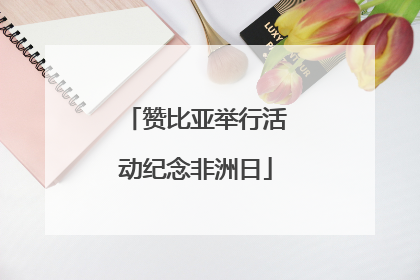 赞比亚举行活动纪念非洲日