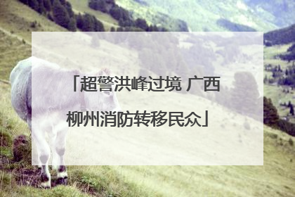 超警洪峰过境 广西柳州消防转移民众