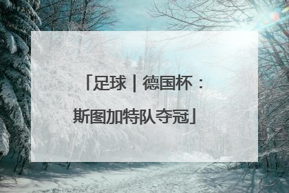 足球｜德国杯：斯图加特队夺冠
