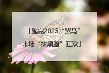 跑完2025“紫马” 来场“抹黑脸”狂欢