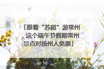 跟着“苏超”游常州，这个端午节假期常州景点对扬州人免票