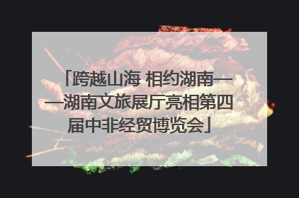 跨越山海 相约湖南——湖南文旅展厅亮相第四届中非经贸博览会