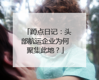蹲点日记：头部航运企业为何聚集此地？
