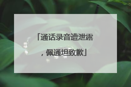 通话录音遭泄露，佩通坦致歉