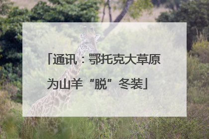 通讯：鄂托克大草原为山羊“脱”冬装