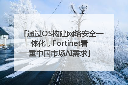 通过OS构建网络安全一体化，Fortinet看重中国市场AI需求
