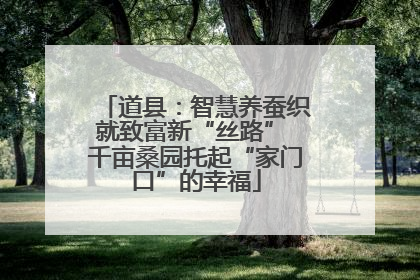道县：智慧养蚕织就致富新“丝路” 千亩桑园托起“家门口”的幸福