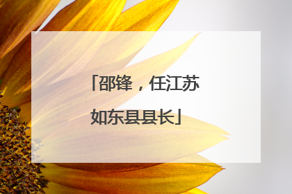 邵锋，任江苏如东县县长