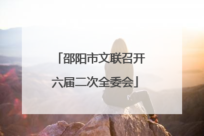 邵阳市文联召开六届二次全委会