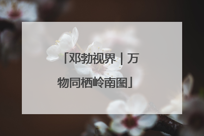 邓勃视界｜万物同栖岭南图