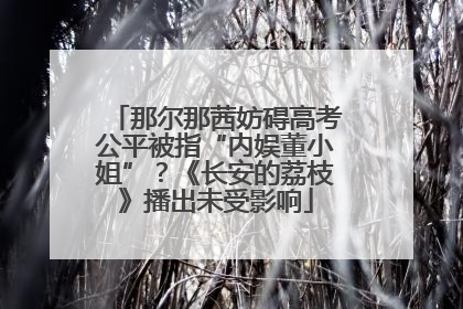 那尔那茜妨碍高考公平被指“内娱董小姐”？《长安的荔枝》播出未受影响
