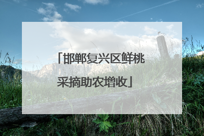 邯郸复兴区鲜桃采摘助农增收