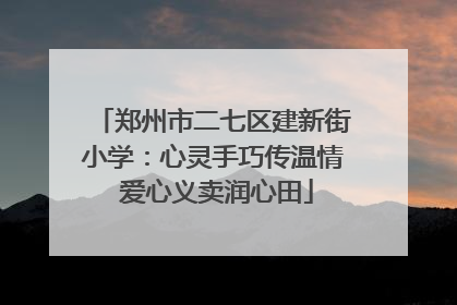 郑州市二七区建新街小学：心灵手巧传温情 爱心义卖润心田
